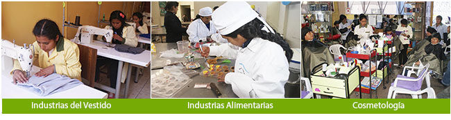 Descripción de la imagen